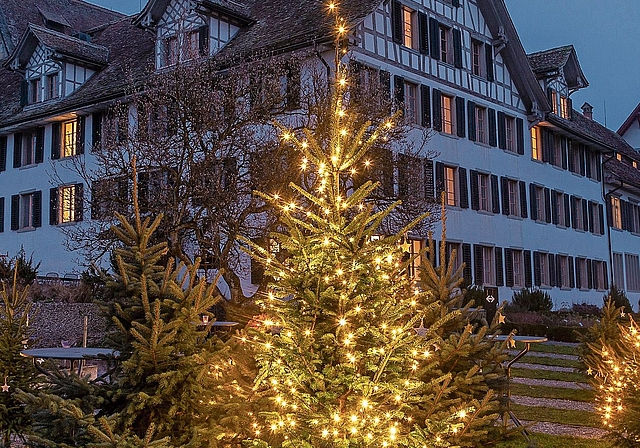 Behängt mit Wünschen, Fürbitten und kleinen Gebeten: Bäumchen im «Advents-Tannenwald» vor dem Kloster Kappel. (Bild Daniel Vaia)