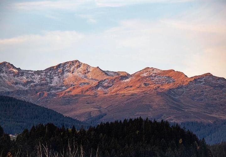 «Während ich in den Bergen auf andere Wildtiere wartete und die Sonne langsam aufging, eröffnete sich vor mir ein spektakuläres Panorama. Umgeben von Wald und kalter Luft, konnte ich mir wenigstens so den Morgen versüssen.» Fotograf Nico Ilic war dafür ein andermal erfolgreich: «30 Gramm schwer und unfassbar schnell – der Eisvogel verzeiht keine Fehler beim Fotografieren. Nach stundenlangem Warten gelang mir dieses Bild in Obfelden.»