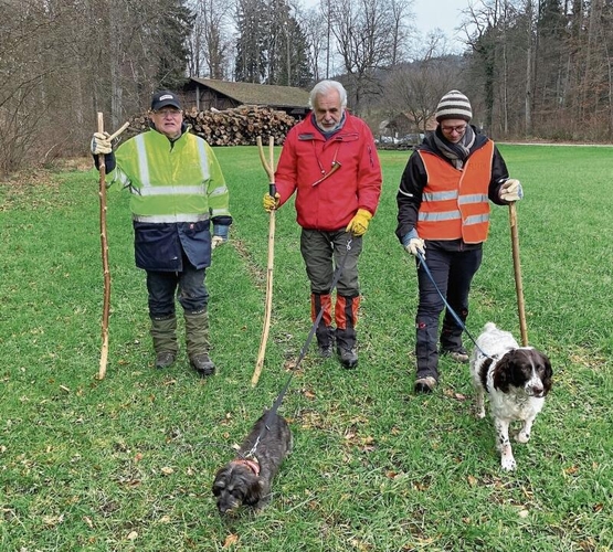 Die Treibenden (von links), Hermann Bättig, Andy Faoro und Fabian Kraxner unterwegs zu ihren Posten – unterstützt von den emsigen Vierbeinern. (Bilder Sandra Isabél Claus)