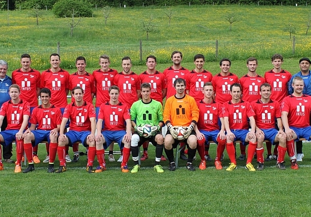 DIe Spieler des FC Hausen dürfen sich auf einen Karriere-Höhepunkt freuen. Hinten von links: Toni Schneitter (Coach), Dominik Stähly, Simon Werffeli, Ralph Huster, Michi Wüest, Kevin Reichmuth, Flavio Ridoli, Andreas Bitzi, Felix Stricker, Domini