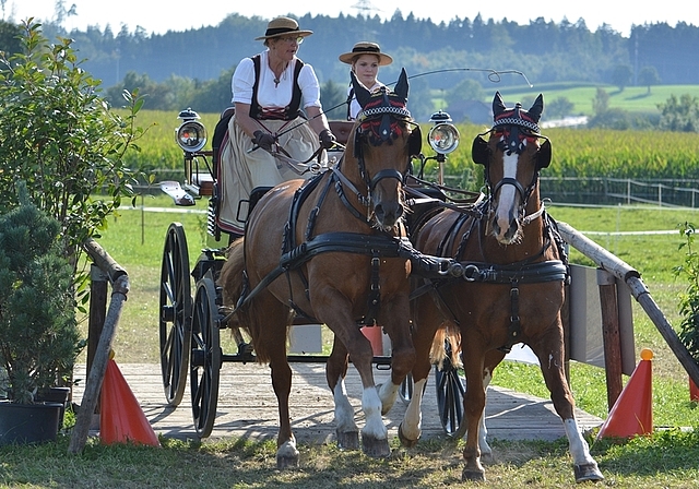 Die nachfolgenden Hindernisse im Blick, passiert Elisabeth Berweger die «Brücke». (Bild Brigitte Metzger)Heinz Kellenberger aus Hausen: Platz zwei mit Little Man. (Bild Werner Utzinger)