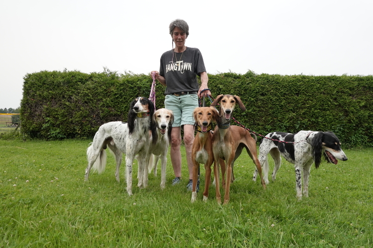 Maria Teresa Alcántara (58) mit fünf ihrer acht Saluki. 