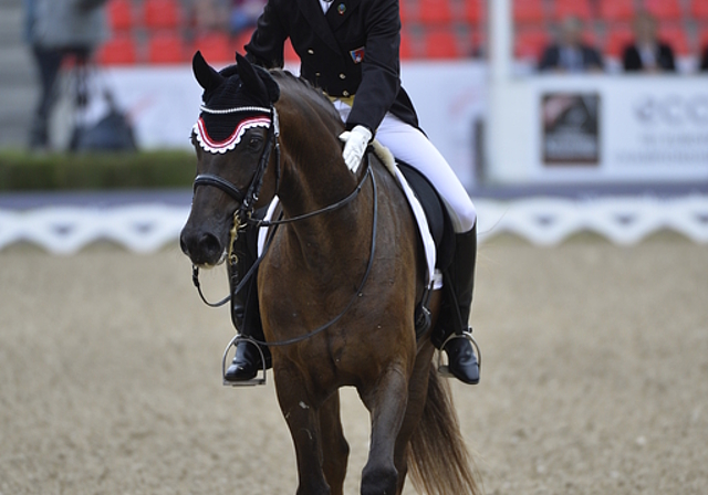 Carline Häcki mit Rigoletto Royal, Pferd des Jahres 2013. (Bild zvg.)