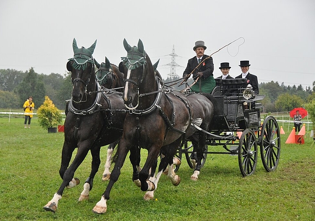 Elegantes Vierergespann: Hansheiri Weiss im Parcours. (Bilder Werner Schneiter)
