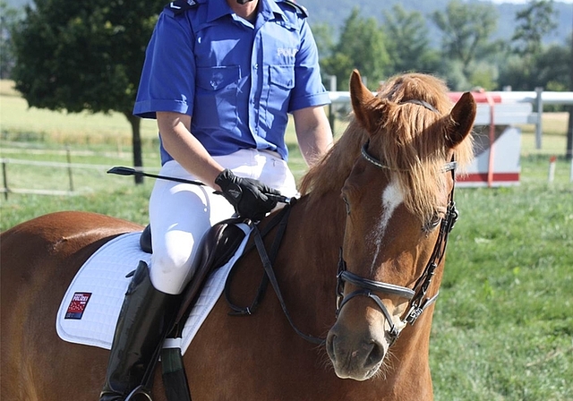 Sie hat Grund, zu strahlen: Simone Sidler aus Ottenbach auf Milord. (Bild zvg.)