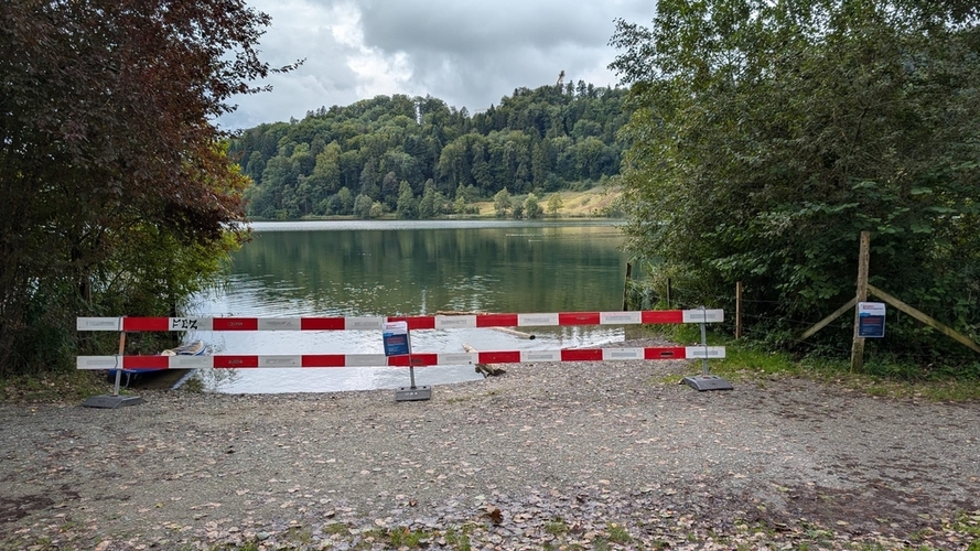 Am Türlersee gilt ein Einwasserungsverbot. (Bild Romeo Nagele)