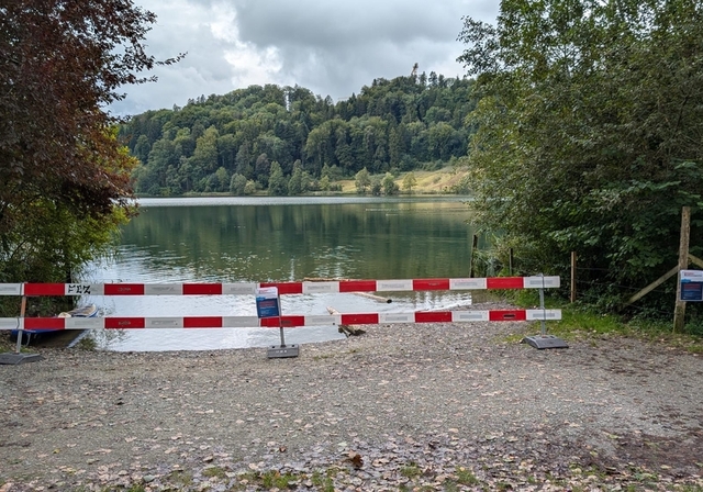 Am Türlersee gilt ein Einwasserungsverbot. (Bild Romeo Nagele)