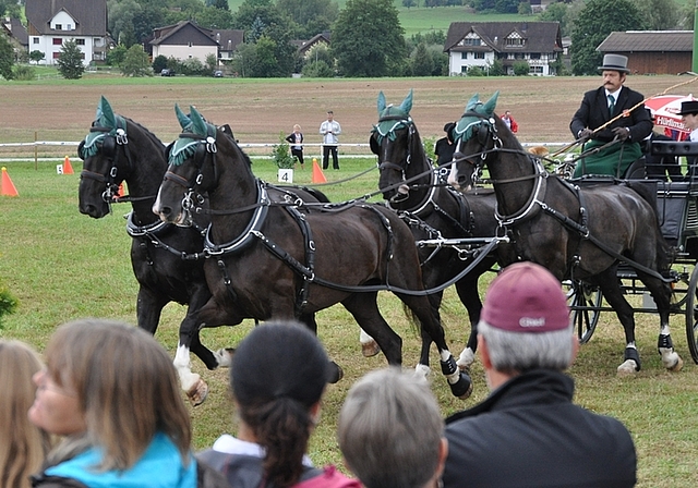 Elegantes Gespann, dem nach mangelndem Training noch die Routine abgeht: Hans-Heiri Weiss nahe an den Zuschauern auf dem Parcours. (Bilder Werner Schneiter)Lieferte mit Lucky und Lambrusco vom Weidhof das beste Ämtler Ergebnis: Elisabeth Berweger au