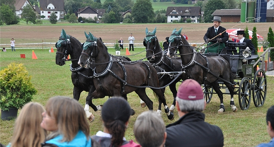 Elegantes Gespann, dem nach mangelndem Training noch die Routine abgeht: Hans-Heiri Weiss nahe an den Zuschauern auf dem Parcours. (Bilder Werner Schneiter)Lieferte mit Lucky und Lambrusco vom Weidhof das beste Ämtler Ergebnis: Elisabeth Berweger aus Uerzlikon.René Heiniger mit Tandem – Sieger in der Vierspännerkategorie.