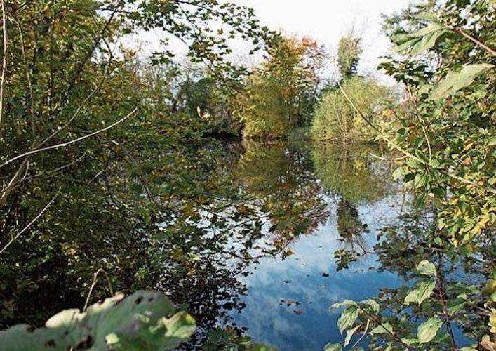 Blick auf den Lochenweiher. (Bild fh)