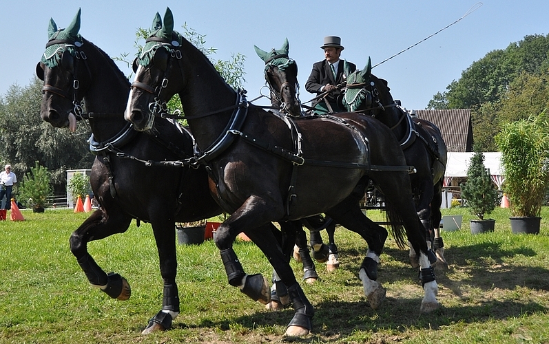 Berufsbedingt weniger Training, aber trotzdem Platz drei: Hansheiri Weiss aus Mettmenstetten.
