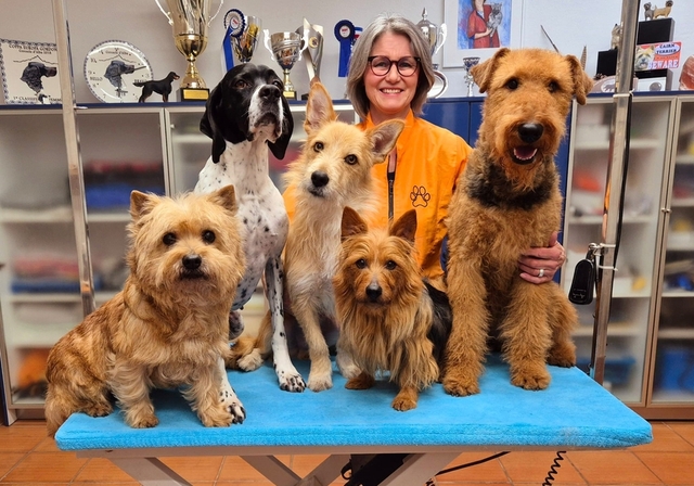 Karin Nievergelt mit eigenen und den Hunden ihrer Kundschaft. (Bild Deborah Klemenz)