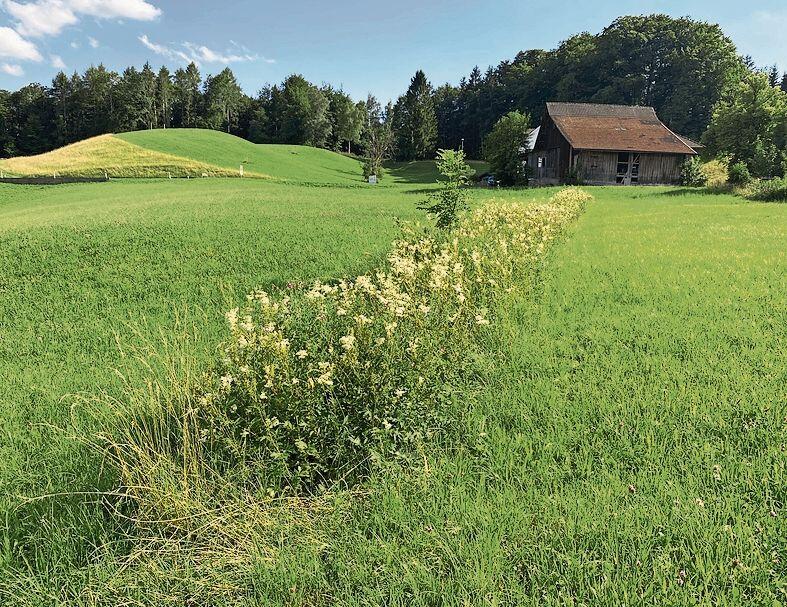 Der «Schattlibach» kann sich nicht zuletzt dank der Grabenpflege besser entfalten. (Bild VNU)