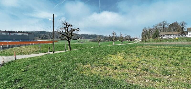 Auf dem Schwanden-Areal in Affoltern, zwischen dem Einrichtungshaus und der Landwirtschaftsschule, wäre das Provisorium der neuen Kantonsschule geplant. (Archivbild Dominik Stierli)