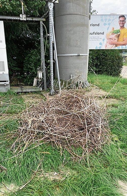 Ein Storchenpaar nistete auf der Mobilfunkantenne in der Nähe des Bahnhofs Bonstetten. Anfang September wurde das Nest entfernt. (Bilder Daniel Stark/zvg)