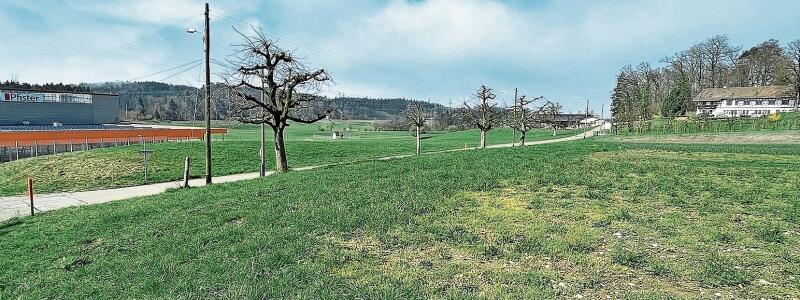 Bleibt vorerst unverbaut: das Schwanden-Areal in Affoltern. (Archivbild Dominik Stierli)