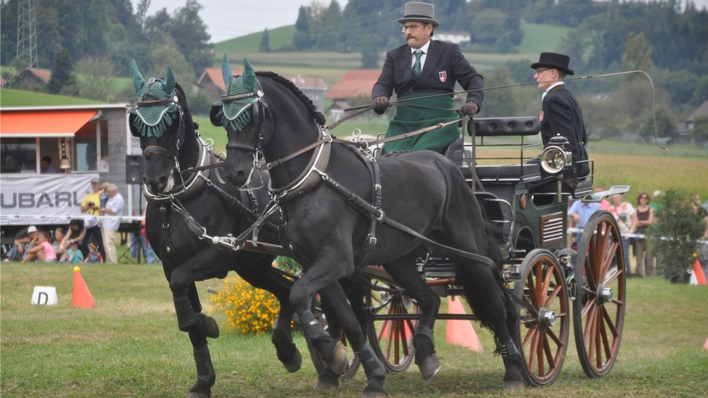 Dynamik: Hansheiri Weiss aus Mettmenstetten mit dem Zweispänner im Hindernisparcours.
